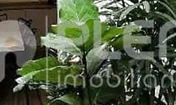 Imagem 4: Casa no condomínio Copacabana para venda com 3 quartos, sendo 3 suítes , 242m², São Paulo