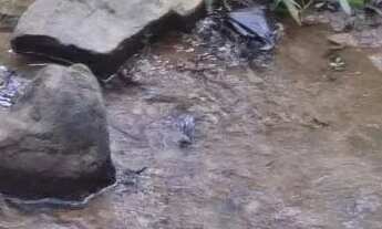 Imagem 7: Chácara Cezarina