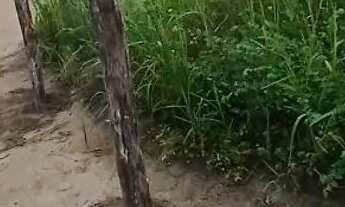 Imagem 2: Lote Terreno / lote com venda por R$14.000