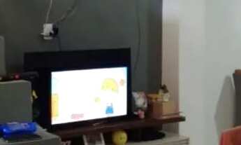 Imagem 2: Alugo casa bairro da conceição rua calçada a que mais desenvolve nos últimos anos