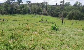 Imagem: Sítio de 18 hectares (7,5 alqueires) na