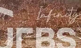 Imagem 6: Hugo de morais - Oportunidade para construtores