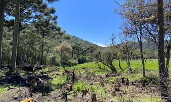 Imagem 6: Urubici- Terreno