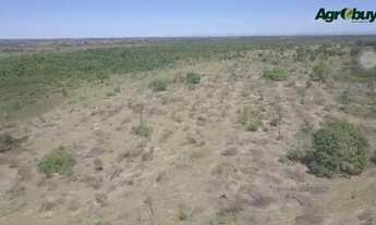 Imagem 7: Fazenda Localizada no Município de Nova Crixas
