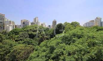 Imagem 5: VISTA DESLUMBRANTE PARA O VERDE DO PARQUE BUENOS AIRES. PRÉDIO CHARMOSO E PLANTA VERSÁTIL