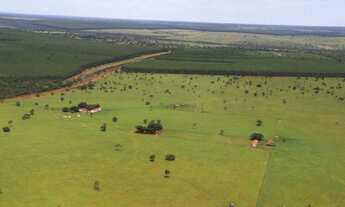 Imagem 2: Fazenda a venda com 170 alqueires a 15km de Selvíria