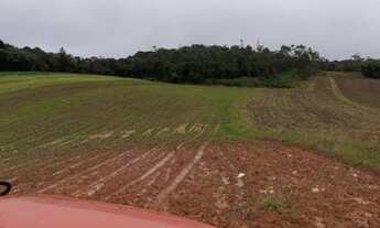 Imagem 5: Fazenda/Sítio/Chácara para venda com 640000 metros quadrados em Biritiba Ussu - Mogi das C