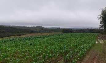 Imagem: Fazenda/Sítio/Chácara para venda com 640000