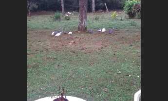 Imagem 2: Lote/Terreno para venda com 1200 metros quadrados em Visconde de Mauá - Resende - RJ