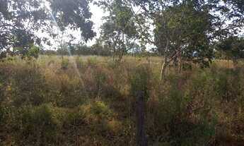 Imagem 4: Fazenda para venda possui 34 Alqueires em Pirenópolis-Go