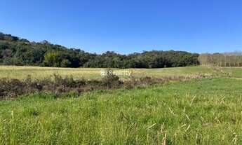Imagem 6: VALE DOS VINHEDOS (BENTO GONçA - Terreno Padrão - Vale Dos Vinhedos