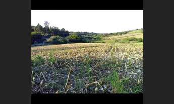 Imagem 6: CHÁCARA EM IBIPORÃ-PR - 35.319 mts2