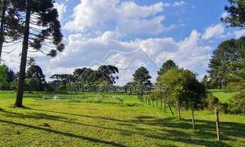 Imagem 3: Sítio / Chácara para Venda em Piraquara, Vila Fuck