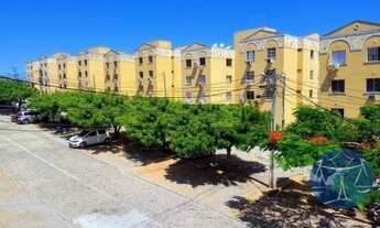 Imagem: NATAL - Padrão - Pitimbú