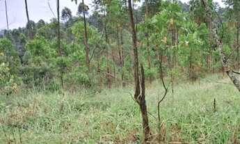 Imagem 3: Lotes e Sítios com Vista Para Lagos Cd. 6WC