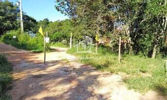 Imagem 4: Sítio em Conceição do Pará 60 mil metros com excelente propriedade e muita água