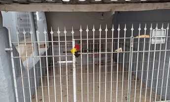 Imagem 2: Casa com 2 dormitórios para alugar, 55 m² por R$ 1.500,00/mês - Vila Industrial - Campinas