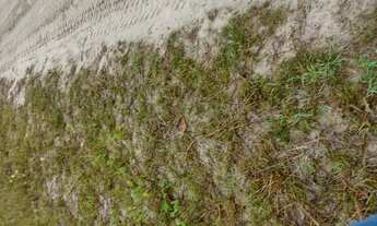 Imagem 6: Vendo Terreno na Beira da Lagoa de Carcará com 1044m2
