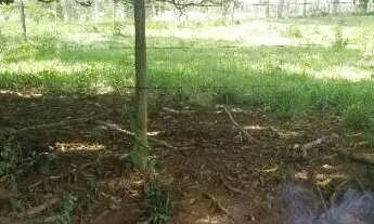 Imagem 7: Terreno rural 15.000m2, Comunidade ponte Ferro