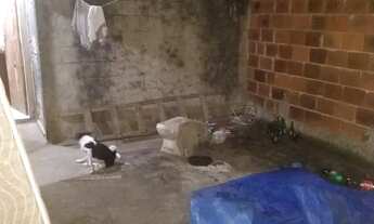 Imagem 3: Vendo terreno+ casa