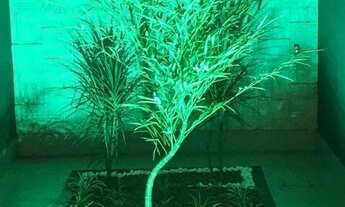 Imagem 7: Casa Nova Casa em condomínio com 3 dormitórios