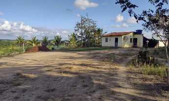 Imagem 2: Sítio 11 hectares em Paudalho