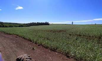 Imagem 6: Sítio para venda com 13 alqueires de terras