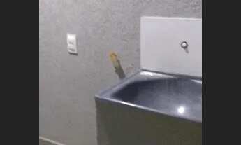 Imagem 5: Casa 3 Dormitórios para venda em Campo Grande - MS