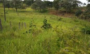 Imagem 2: Sitio 11 Hectares /Saída MIRABELA..Muita Pastagem..curral coberto