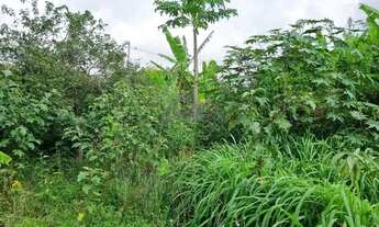 Imagem 5: Terreno - Chácara Primavera - Campinas