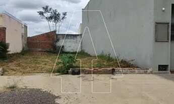 Imagem 4: Araçatuba - Lote/Terreno - Concórdia III