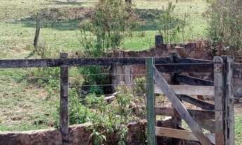 Imagem 6: Fazenda com 30 hectares na beira do rio descoberto troca perto de Brasília
