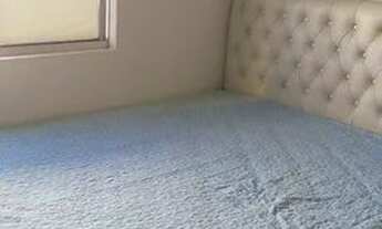 Imagem 4: Belíssimo dois quartos em Jardim Limoeiro!