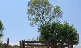 Imagem 2: Fazenda com 30 hectares na beira do rio descoberto troca perto de Brasília