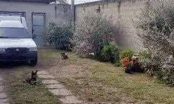 Imagem 10: Edicula no Parque dos Sinos