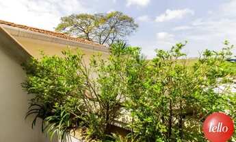 Imagem 7: São Paulo - Casa Comercial - Moema