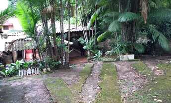 Imagem 3: Casa em alter Casa com 2 dormitórios