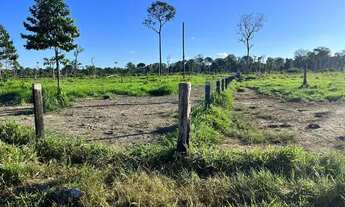 Imagem 5: Sítio localizada na LH 03 do flor do Amazonas a 31 km de Cándeias do Jamari