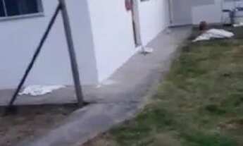 Imagem 5: Aluga se casa em Costa Bela 2 quartos