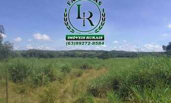 Imagem 7: Fazenda 38,5 Alqueires Alqueires