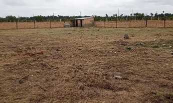 Imagem 5: Vendo chácara por 80 mil