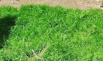 Imagem 5: Terreno Terreno / lote com venda por R$30.500