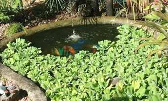 Imagem 2: Velleda oferece magnífico terreno com casa e escritura em condomínio seguro em Águas Clara