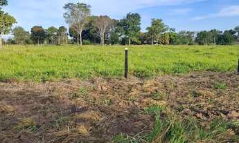 Imagem 4: Sítio excelente todo formado