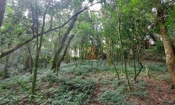 Imagem 7: Terreno à Venda em Canela!