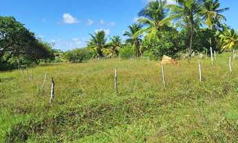 Imagem 2: Lindo Terreno com 30 X 130