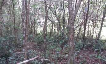 Imagem 4: TERRENÃO! Terreno / lote com venda por R$28.000