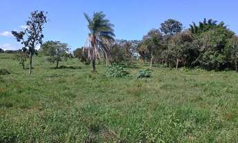 Imagem 3: Chácara com escritura 20.000 metros