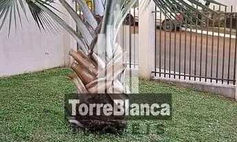 Imagem 5: Ótima Oportunidade, casa à venda na Vila Estrela, Ponta Grossa, PR