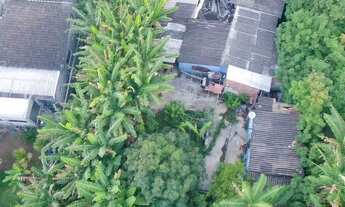 Imagem 5: Arniqueira - Lote grande